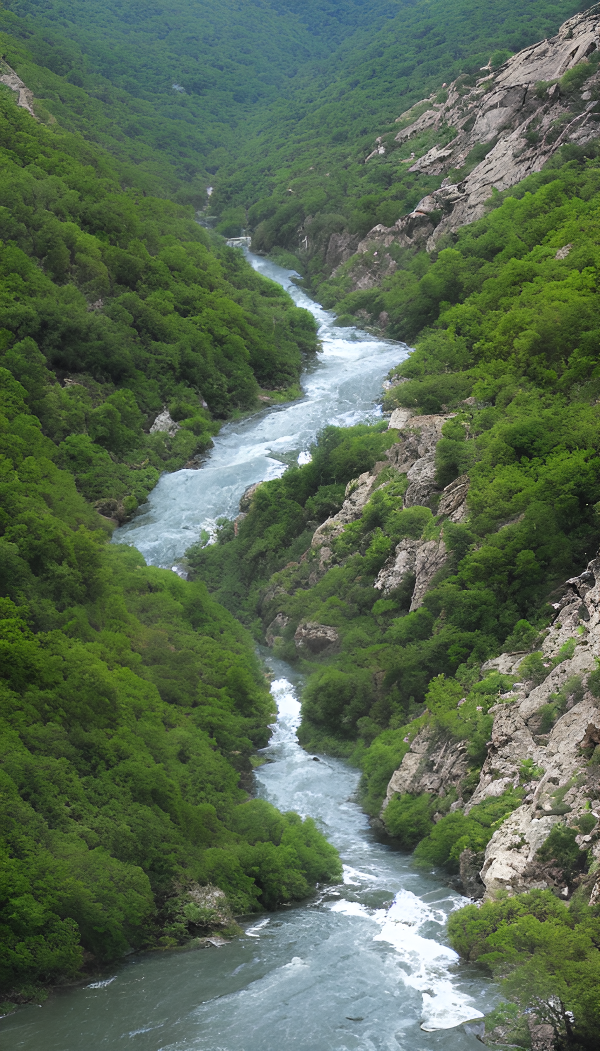 小溪流水