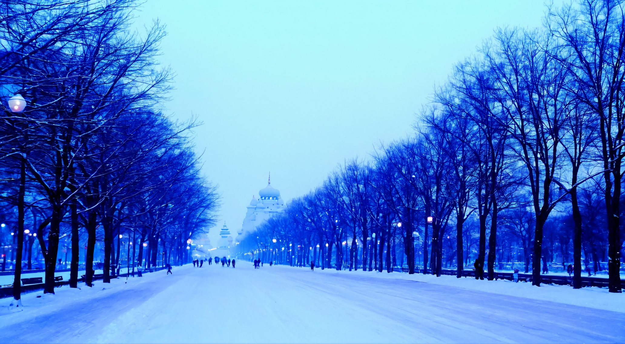 雪景