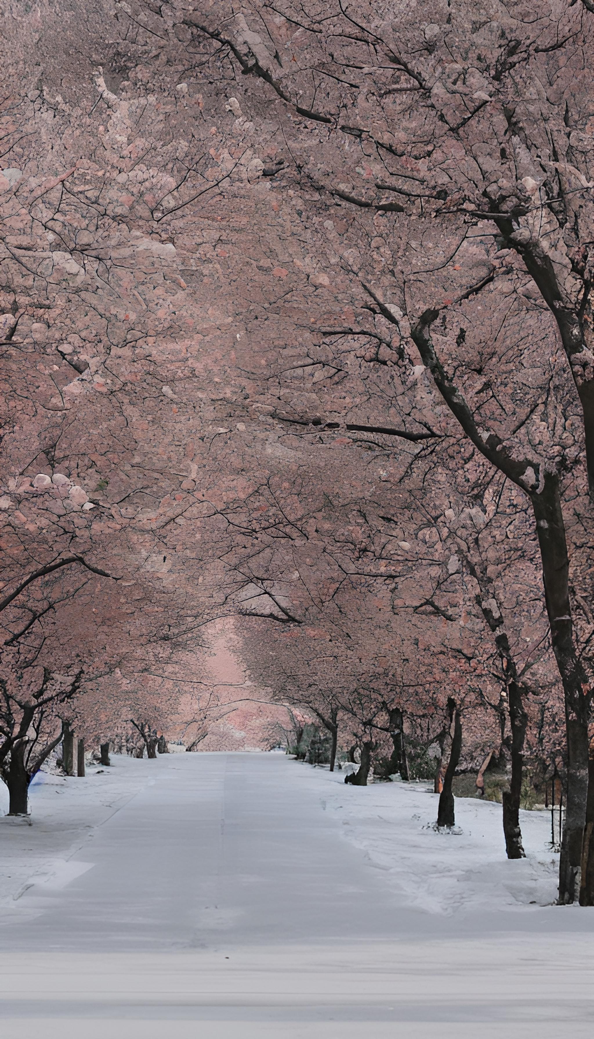 冰天雪地