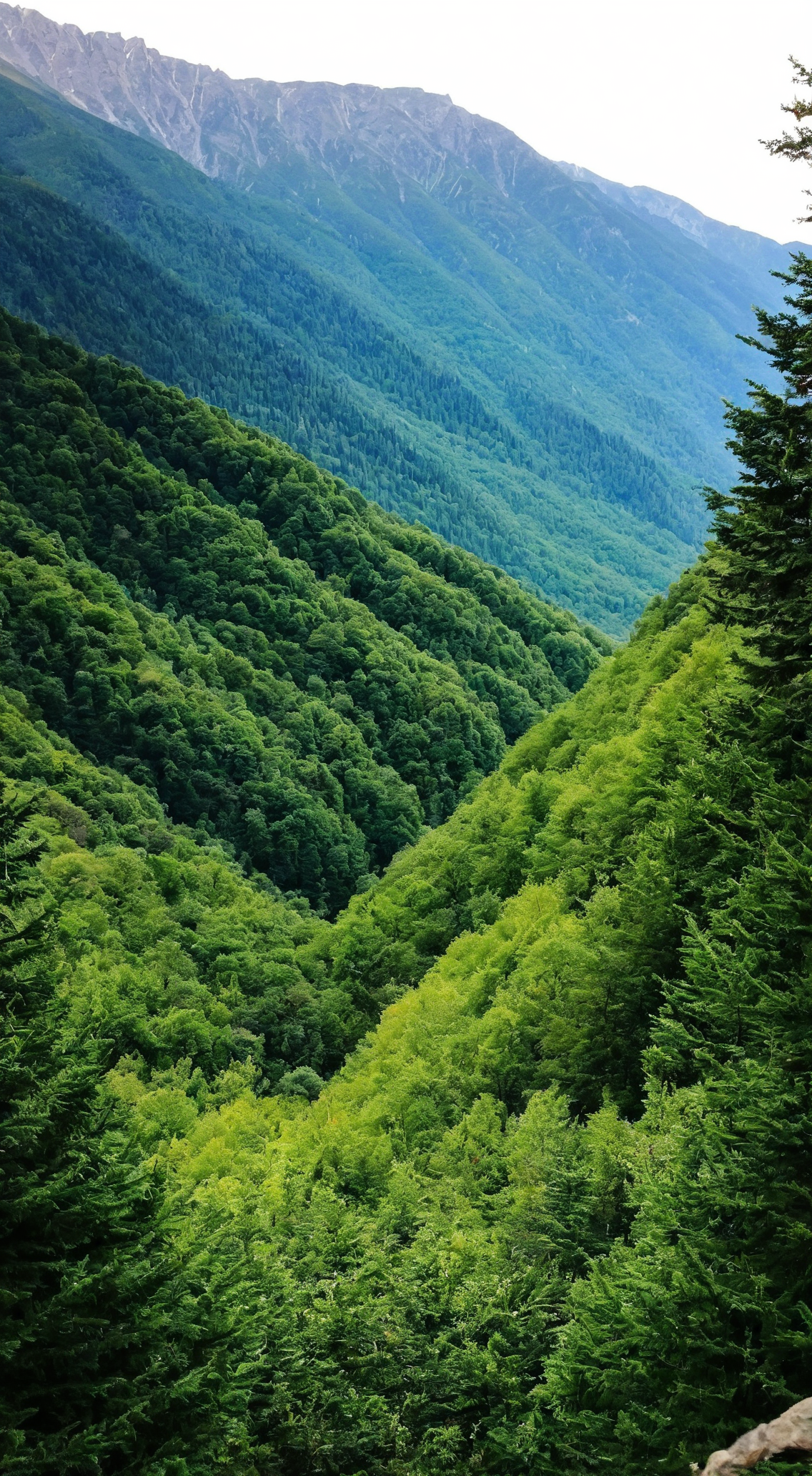 大山深处