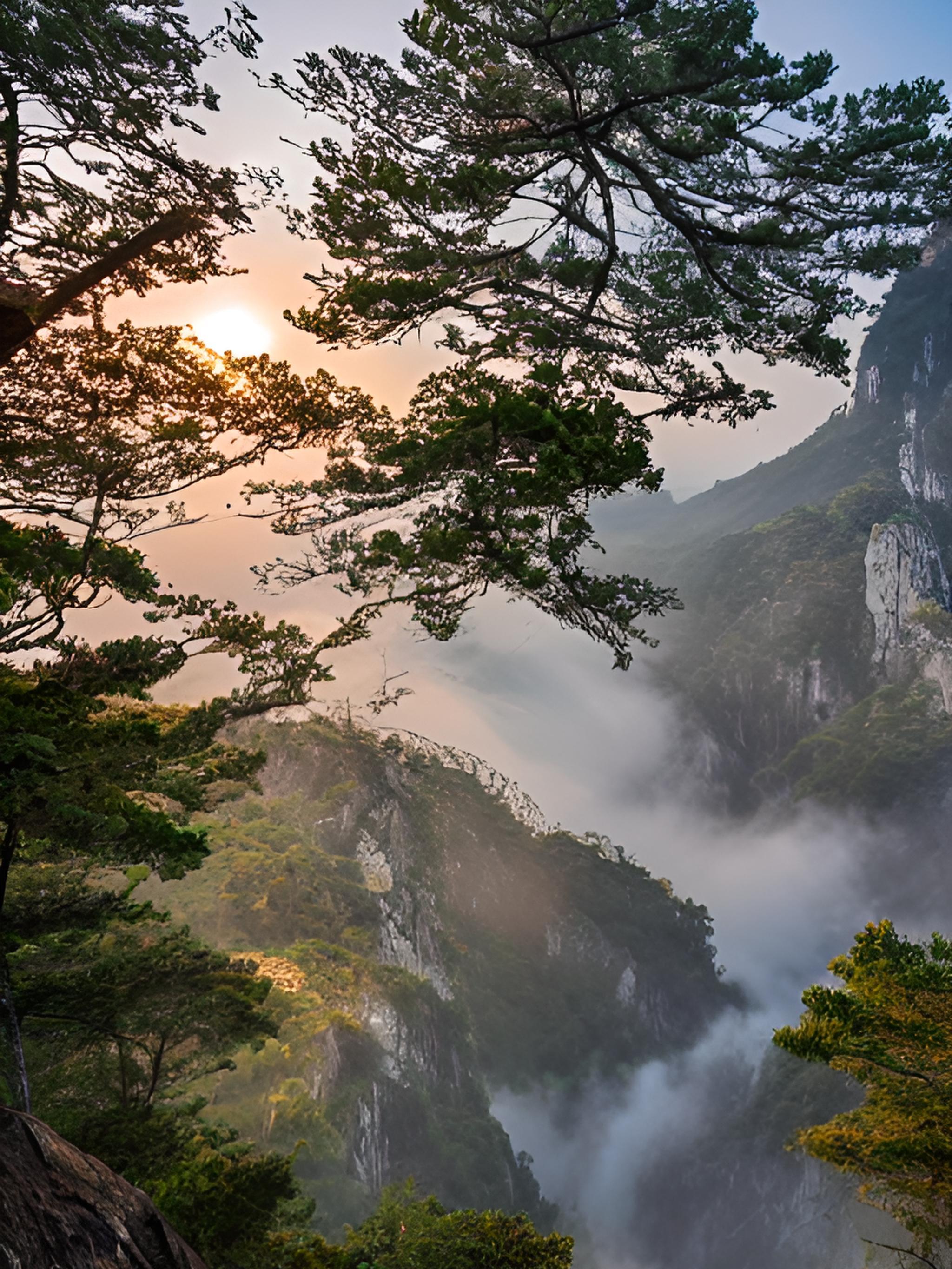 泰山