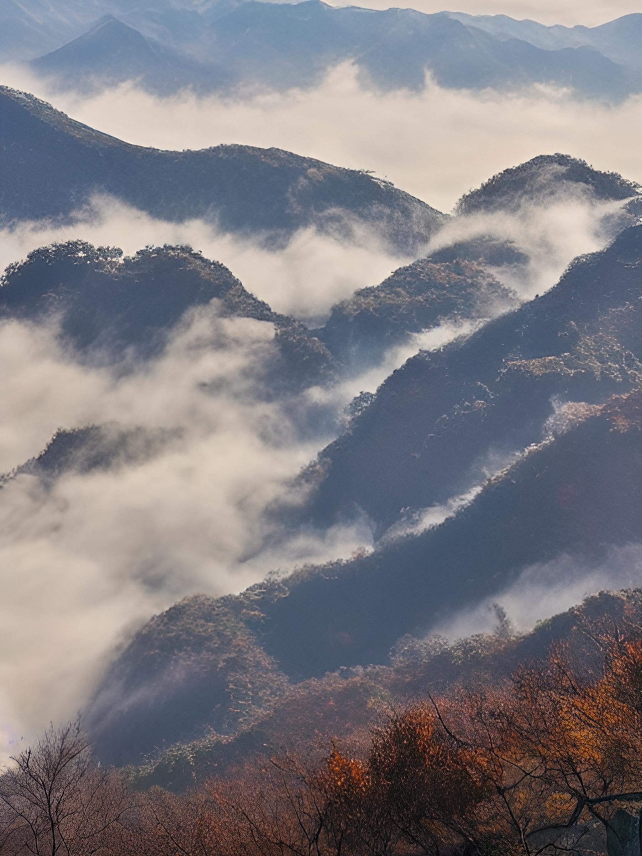 泰山