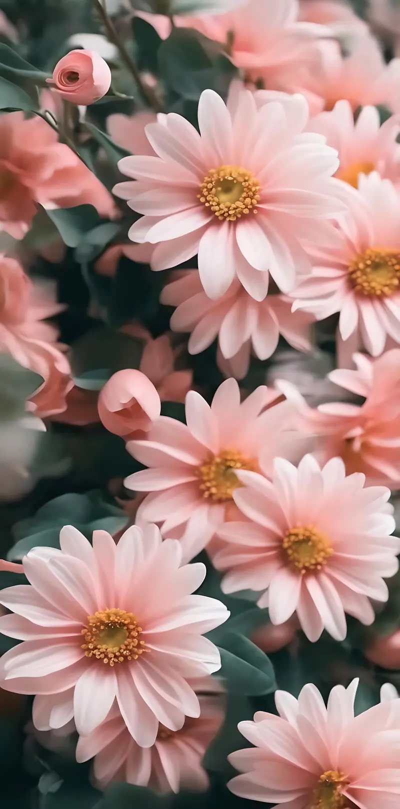 粉色轻语：花
