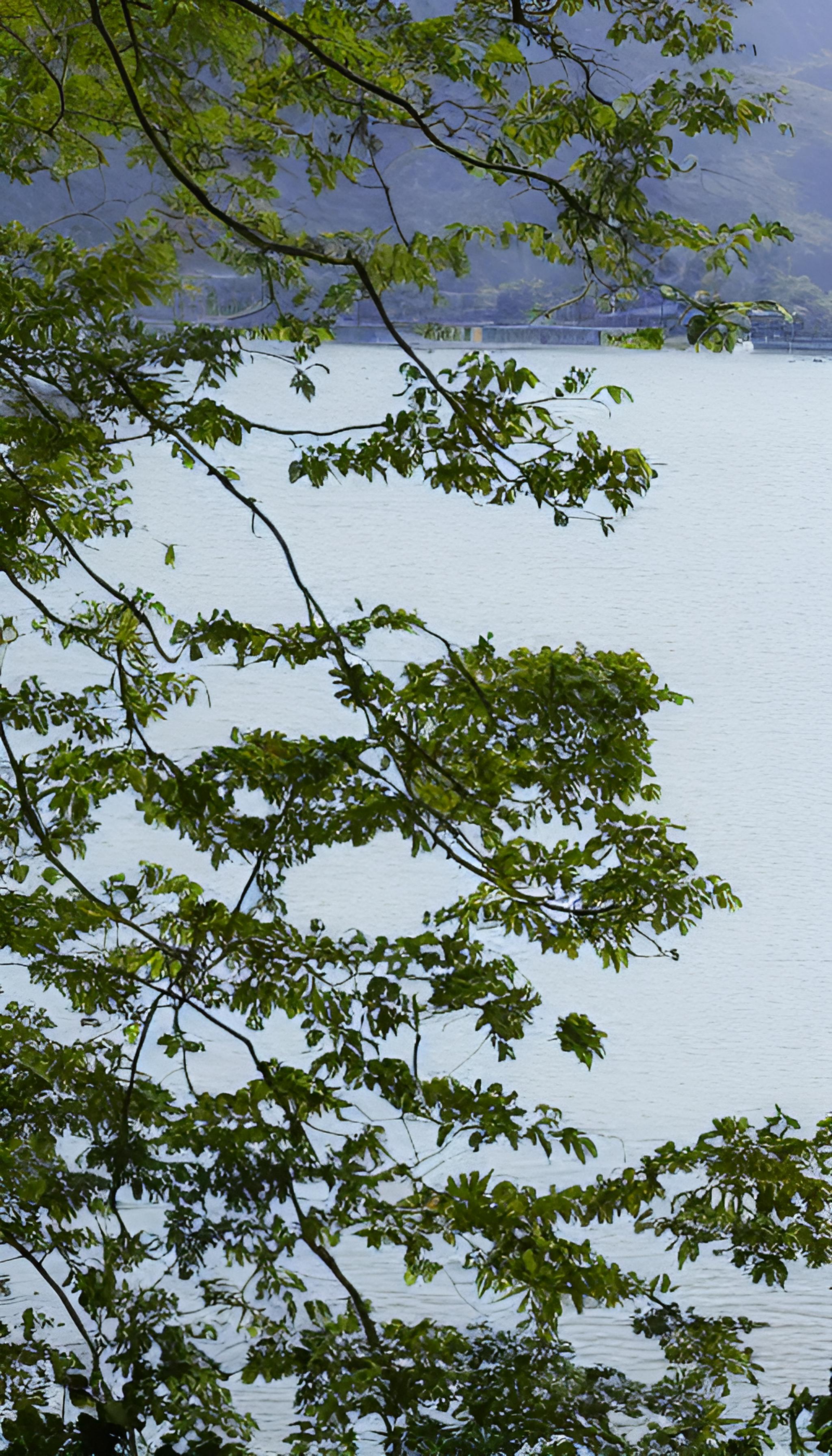 西湖美景