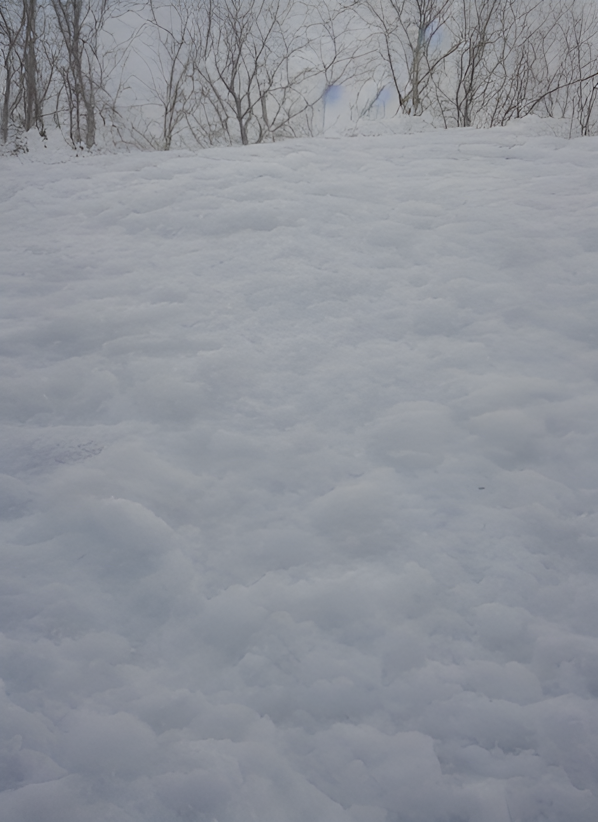 林海雪原