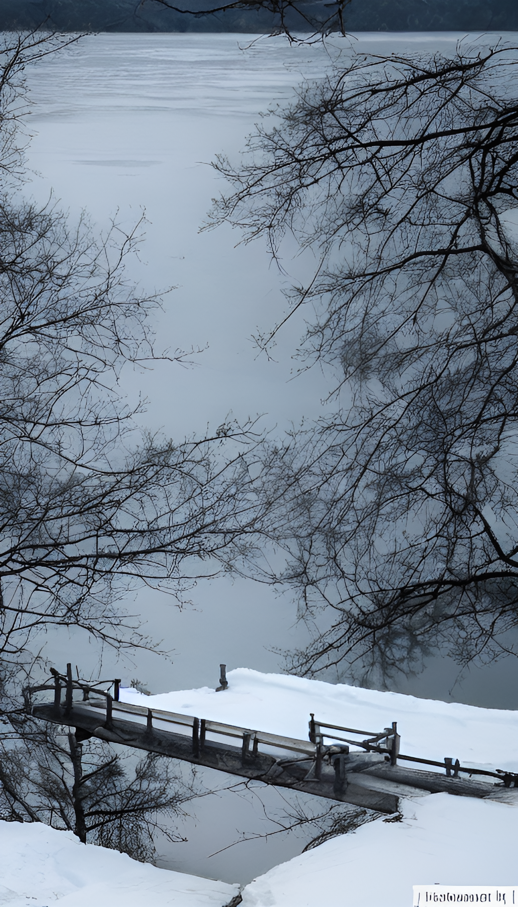 断桥残雪