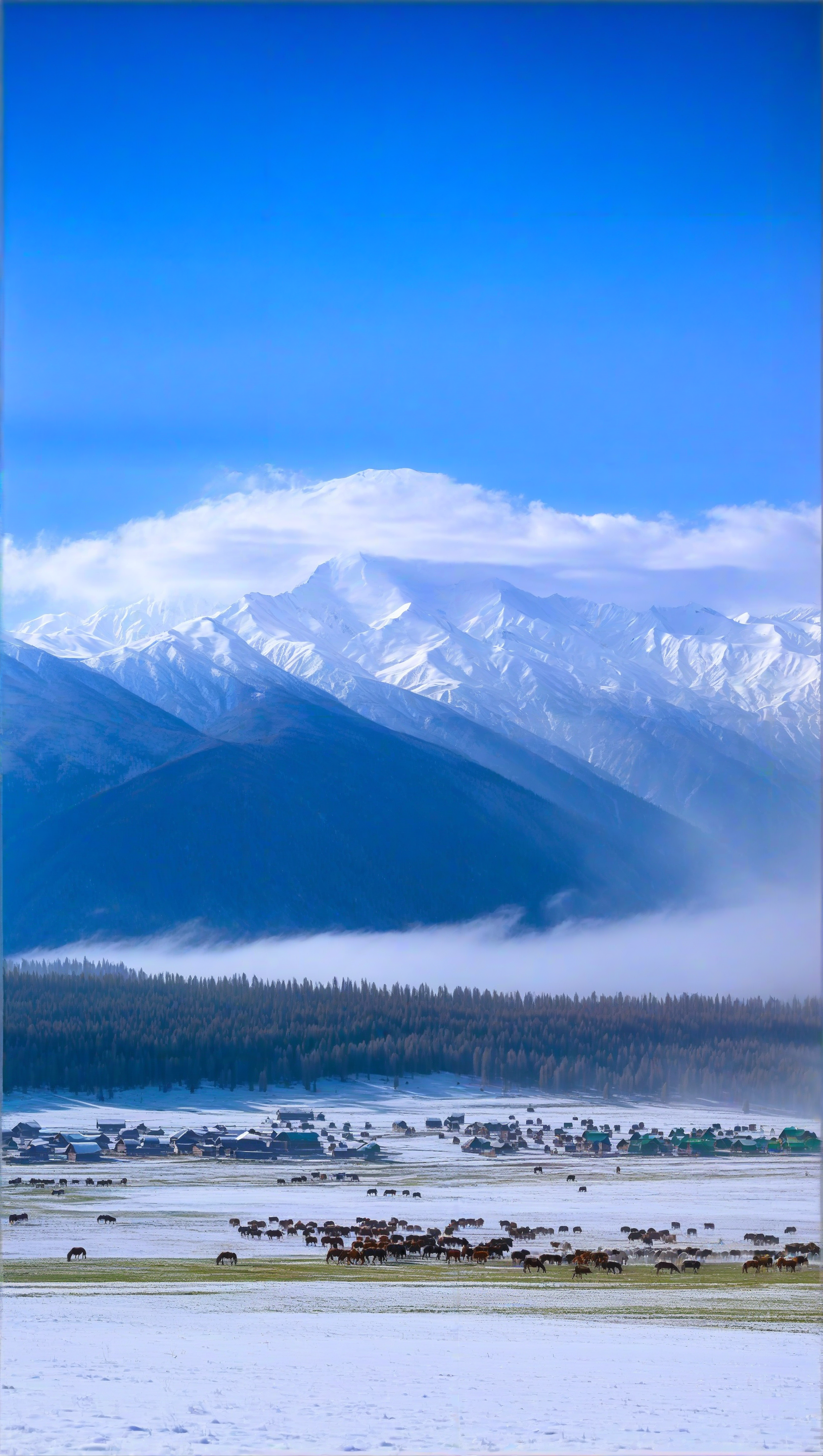 天山，一个令人向往的地方！