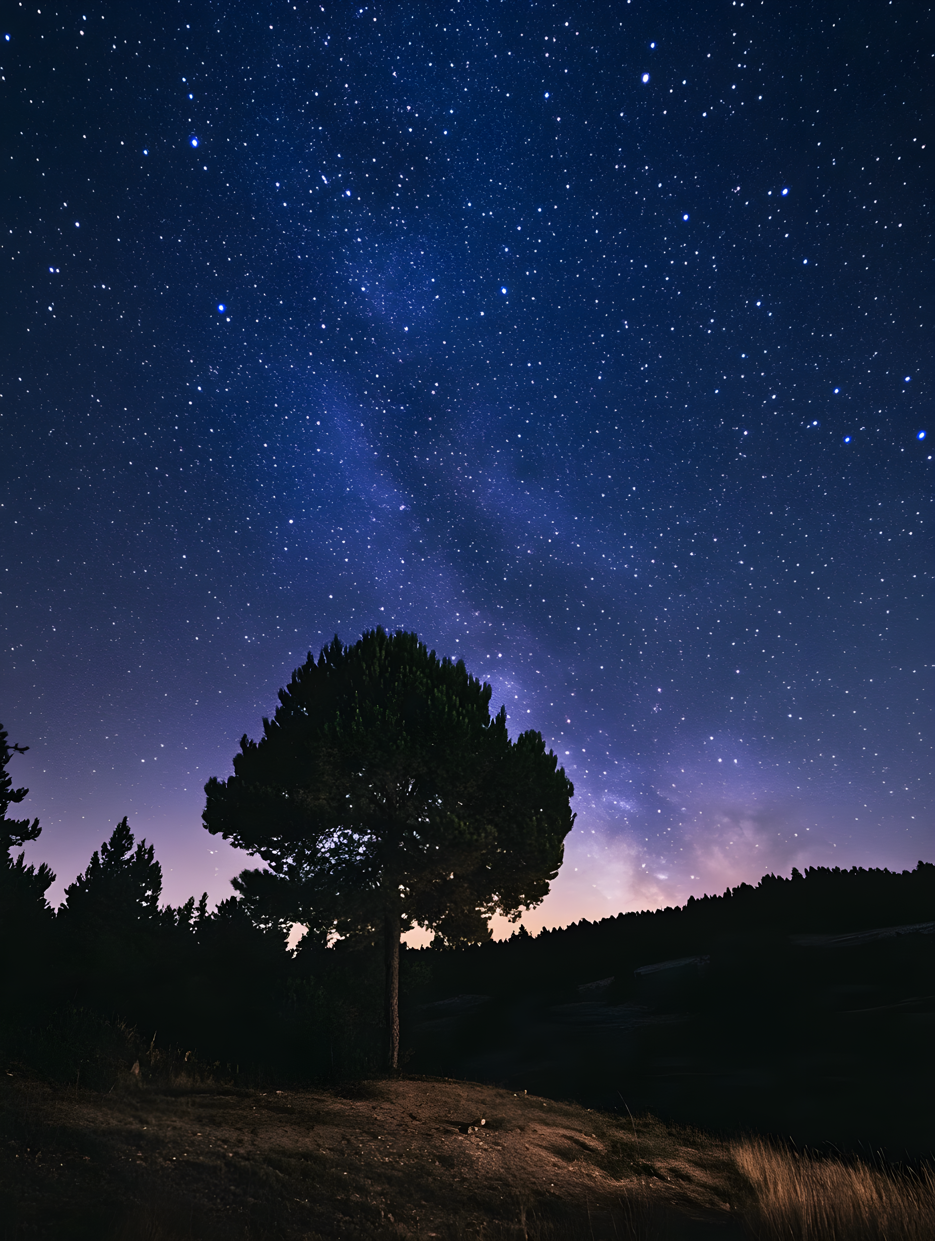 绚烂的星空